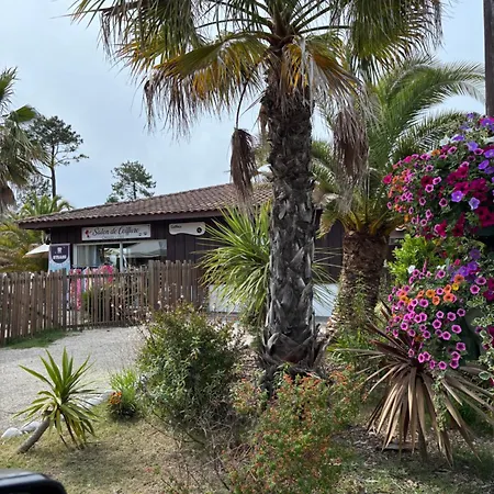 Кемпинг Mobil Avec Terrasse - Proche Plages Cap-ferret - 4-6 Pers 4 Etoiles Les Viviers Леж-Кап-Ферре
