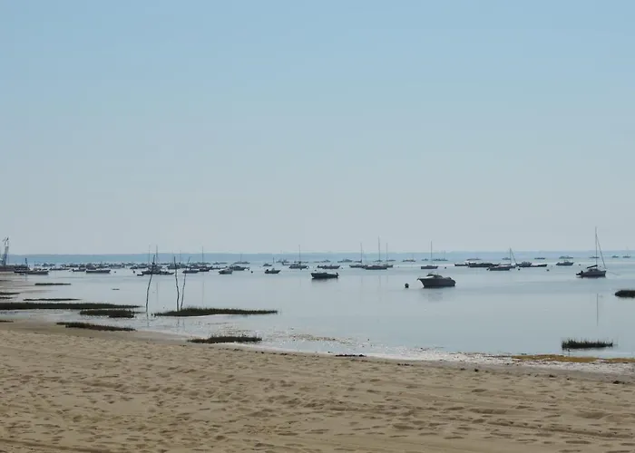 Camping Mobil Avec Terrasse - Proche Plages Cap-ferret - 4-6 Pers 4 étoiles Les Viviers *