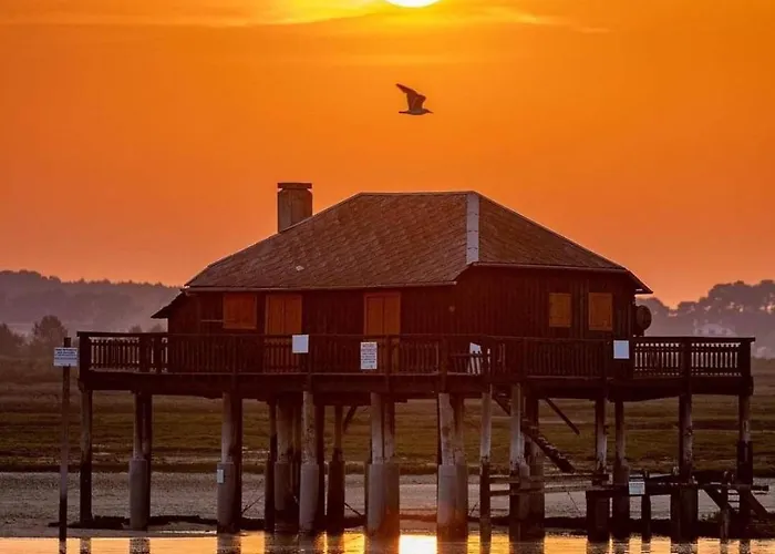 Mobil Home Avec Terrasse - Proche Plages Cap-Ferret - 4-6 Personnes